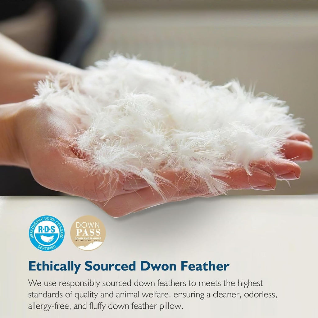 Decorative Plump Hypoallergenic 3‑Chamber Goose Feather Down Core Bed Pillows, Standard Size Set of 2, With Microfiber Surround, Soft-... - Decorative Throw Pillow Cushion for Sofa & Bed Detail