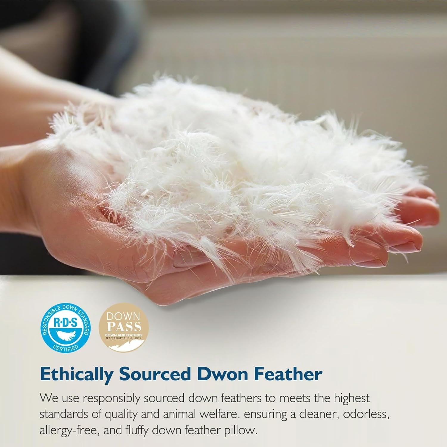 Decorative Plump Hypoallergenic 3‑Chamber Goose Feather Down Core Bed Pillows, Standard Size Set of 2, With Microfiber Surround, Soft-... - Decorative Throw Pillow Cushion for Sofa & Bed Detail