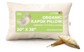 Ergonomic Memory Foam Kapok 20x26" Standard Bed Pillow – Organic Cotton Fabric Soft Sleeping Pillow - Made in USA - Ergonomic Memory Foam Pillow for Neck Pain Support - Default Title