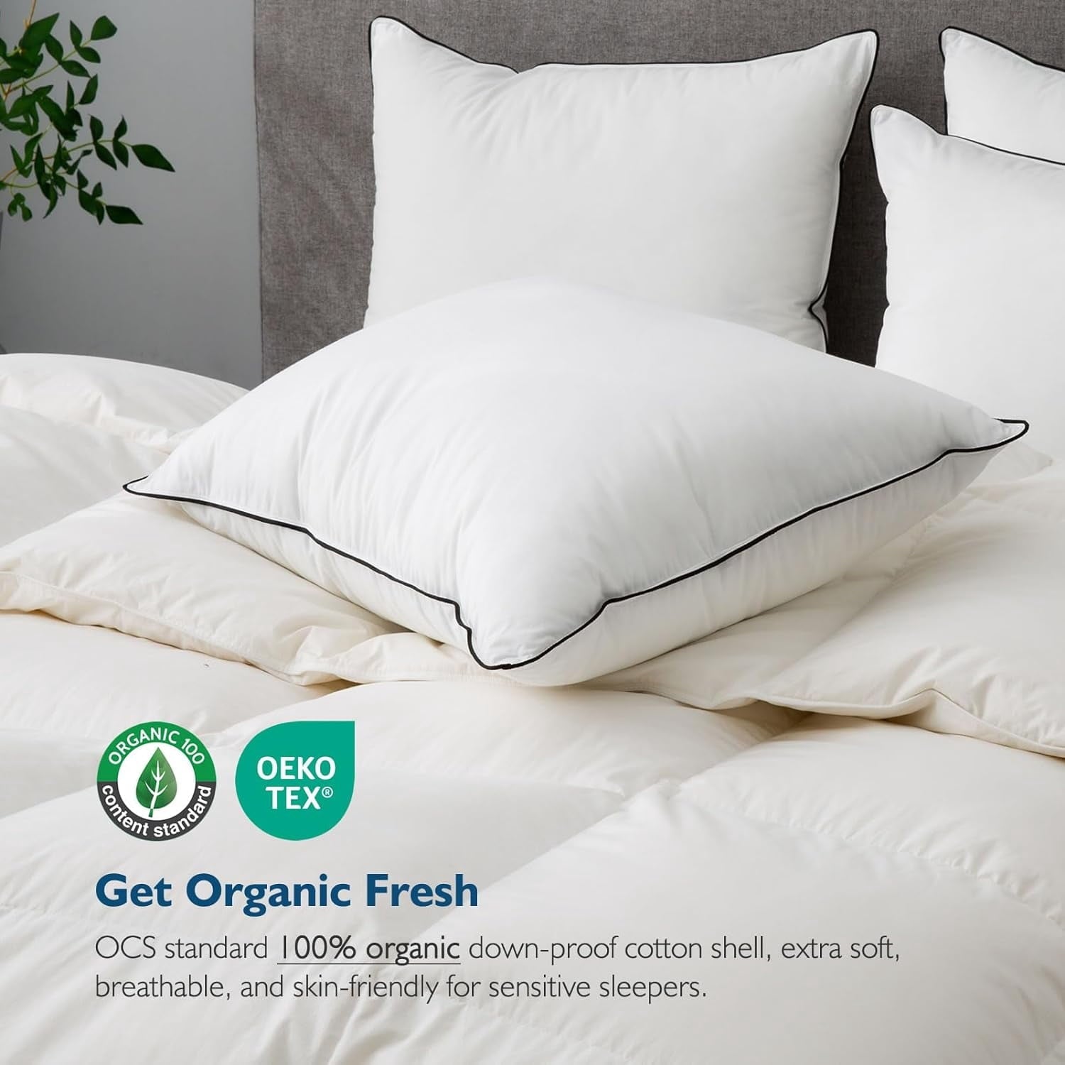 Decorative Plump Hypoallergenic 3‑Chamber Goose Feather Down Core Bed Pillows, Standard Size Set of 2, With Microfiber Surround, Soft-... - Decorative Throw Pillow Cushion for Sofa & Bed Detail