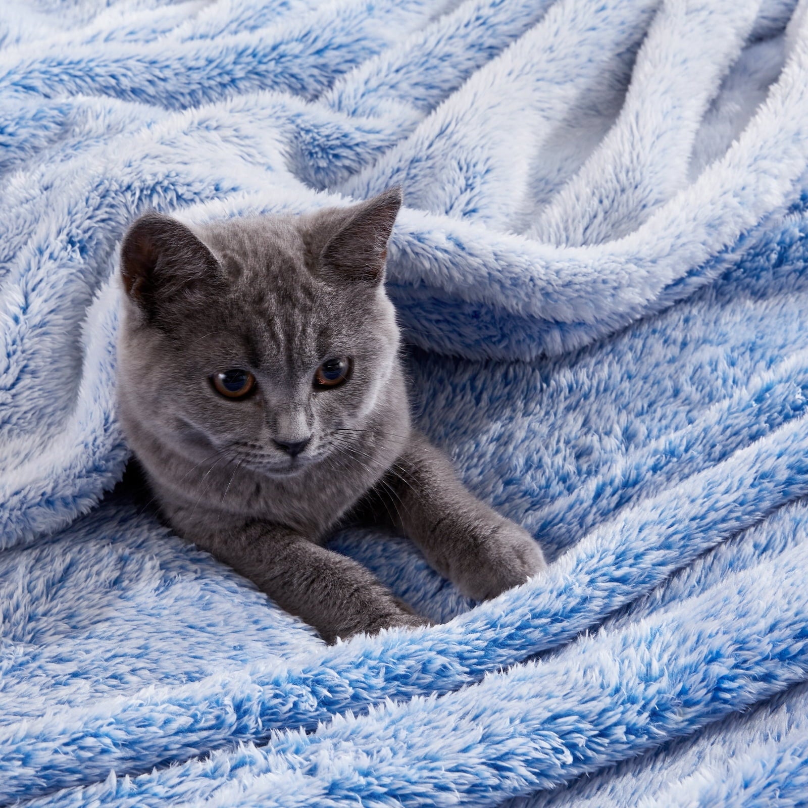 Decorative Knitted Plush Fuzzy Large Fleece Throw Blanket (50" x 70", Mixed Cobalt Blue)- Soft, Warm and Lightweight - Lightweight Plush Warm Blanket for All Seasons Detail
